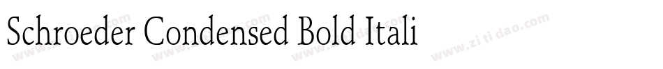 Schroeder Condensed Bold Italic字体转换